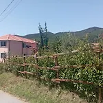 La Tana Della Volpetta - 3*