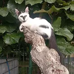 La Tana Della Volpetta - 3*