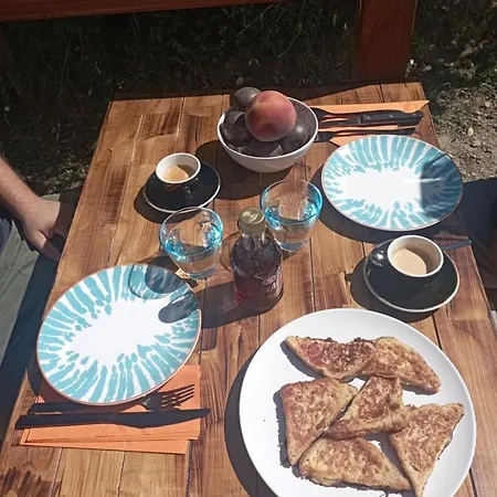 La Tana Della Volpetta - Stella