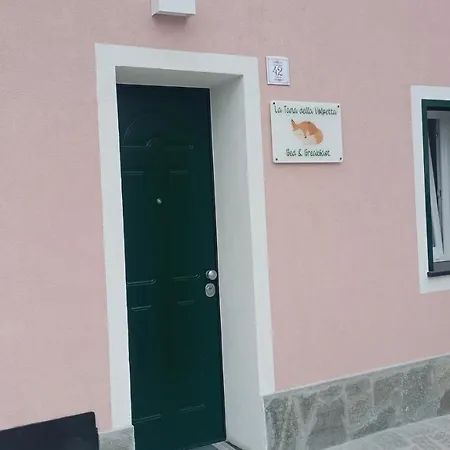 Oda ve Kahvaltı La Tana Della Volpetta - Stella