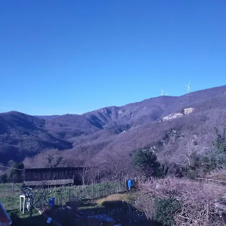 La Tana Della Volpetta - Stella