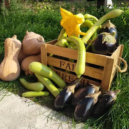 La Tana Della Volpetta - 3* Stella