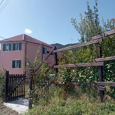 La Tana Della Volpetta - Stella