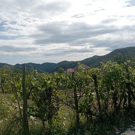 La Tana Della Volpetta -