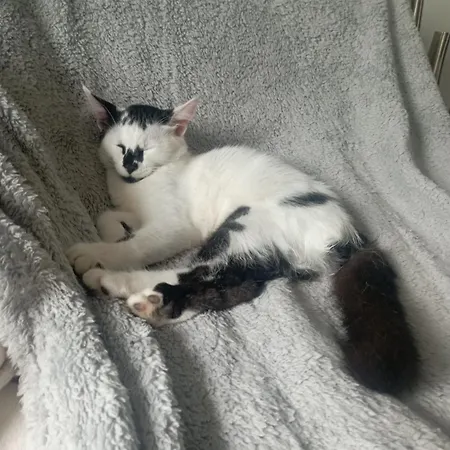 La Tana Della Volpetta - Oda ve Kahvaltı