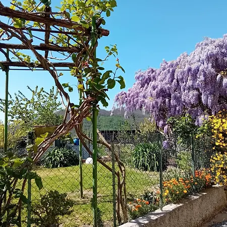 La Tana Della Volpetta - Oda ve Kahvaltı