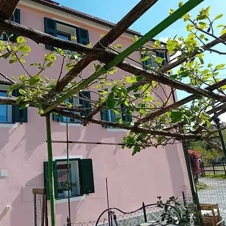 La Tana Della Volpetta - Oda ve Kahvaltı 3*