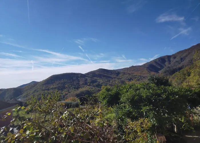 La Tana Della Volpetta - Bed & Breakfast 3*