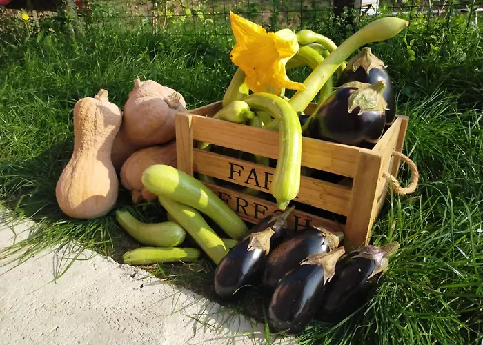 La Tana Della Volpetta - 3* Stella