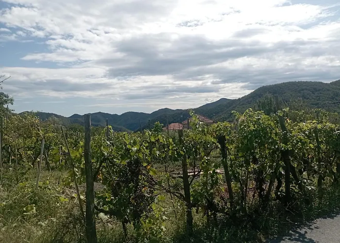 La Tana Della Volpetta -