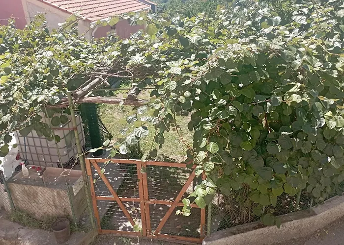 La Tana Della Volpetta - 3* Stella