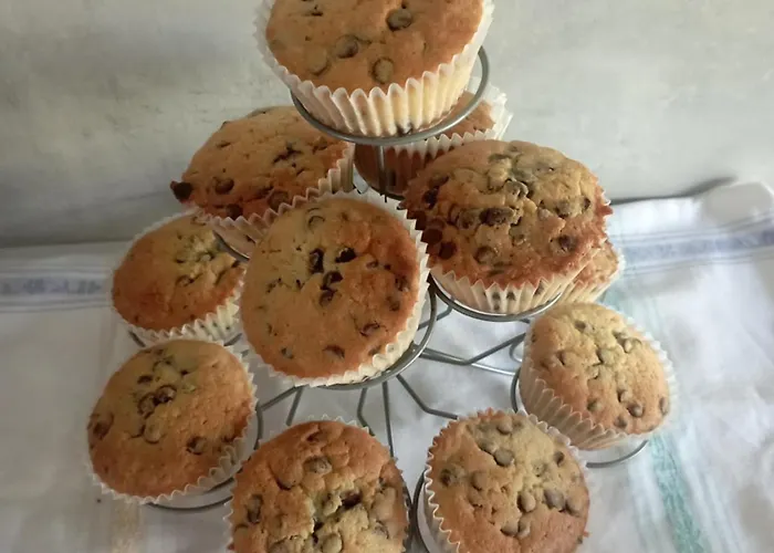 Bed & Breakfast La Tana Della Volpetta -